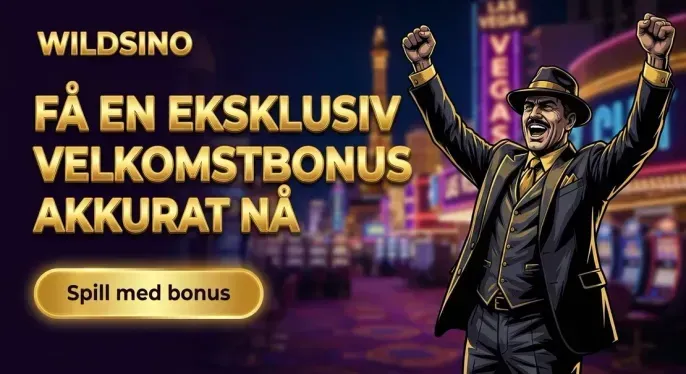 Wildsino Casino
